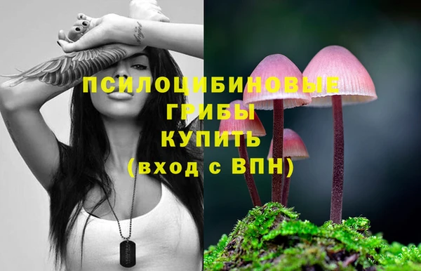 марки nbome Верея