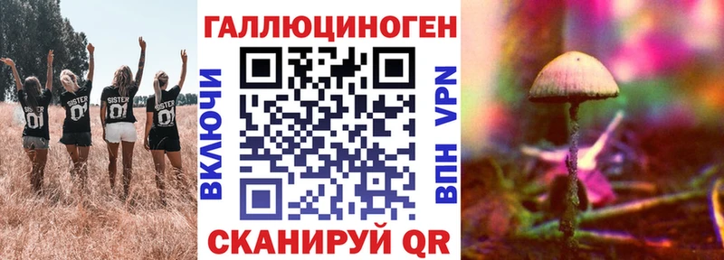 Галлюциногенные грибы GOLDEN TEACHER  Дятьково 